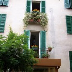 Dal giardino