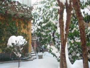 Giardino con la neve